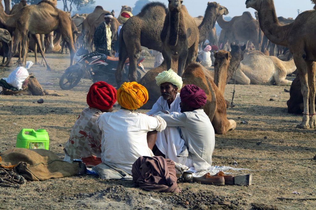 31 JHALAWAR.JPG